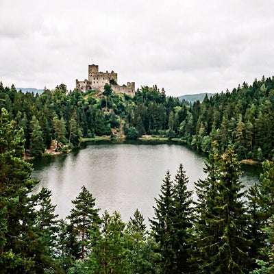 Castle wall art, a castle on a hill beside a pine lake