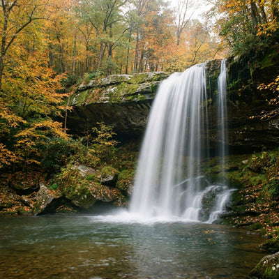 Waterfall wall art, a long exposure waterfall pouring over a mossy ledge into a clear pool in an autumn forest