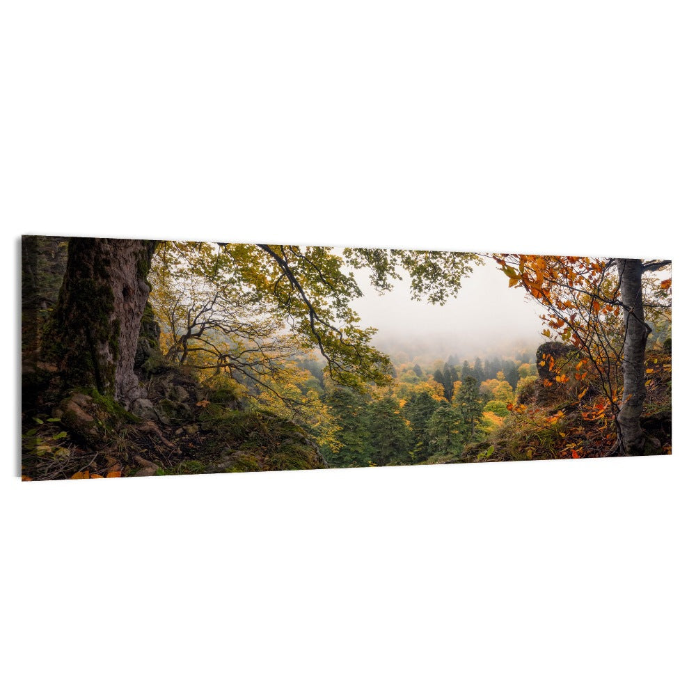 Enchanted Forest Valley Wall Art, canvas print, panoramic
