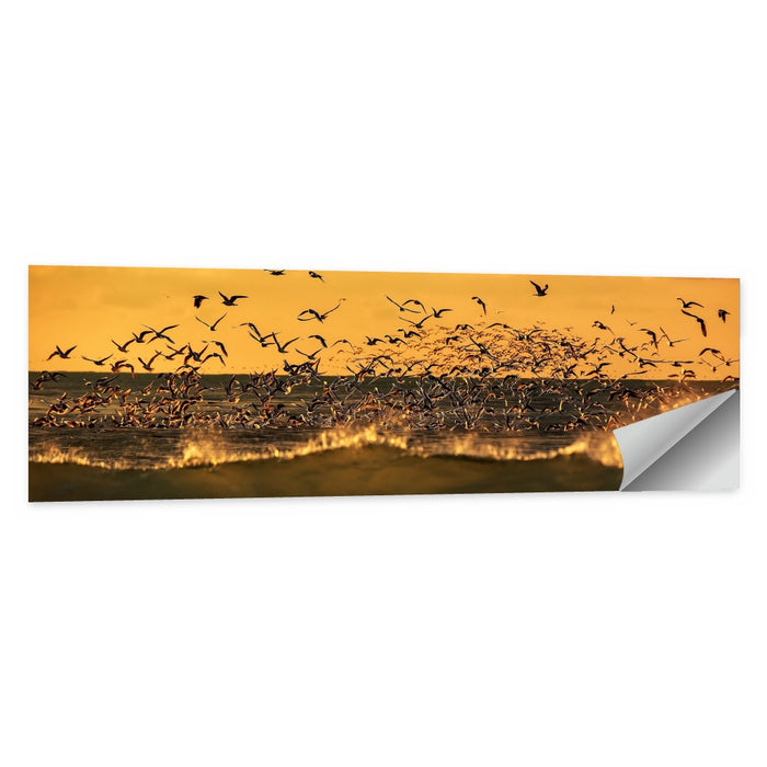Seagull Flock at Golden Hour Wall Art as a poster print