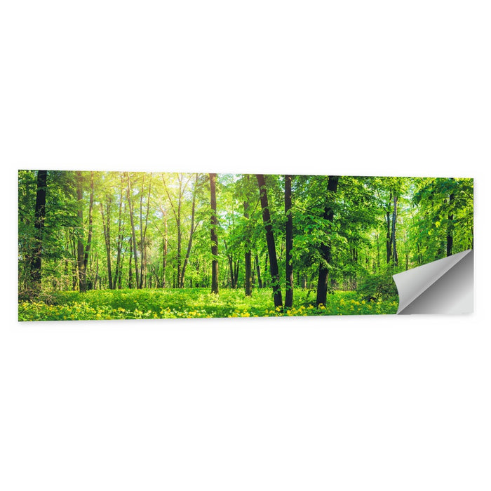 Sunlit Green Forest with Yellow Wildflowers Wall Art as a poster print