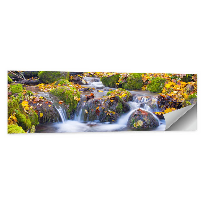 Mossy Autumn Stream Wall Art as a poster print