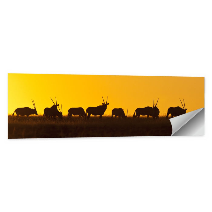 Namibian Gemsbok Silhouettes Wall Art as a poster print