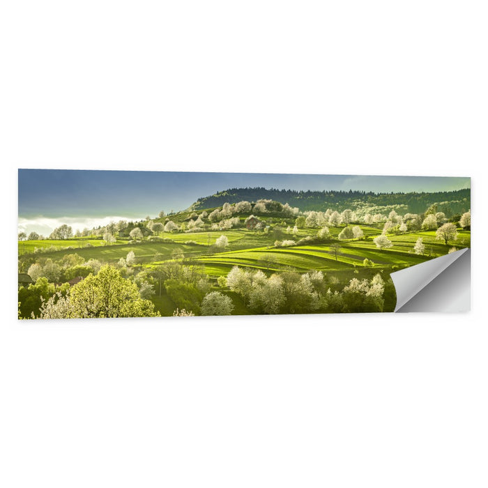 Spring Blossoms in Polana Wall Art as a poster print