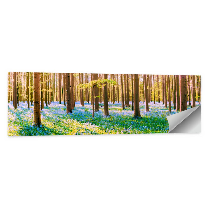 Hallerbos Bluebell Forest Wall Art as a poster print