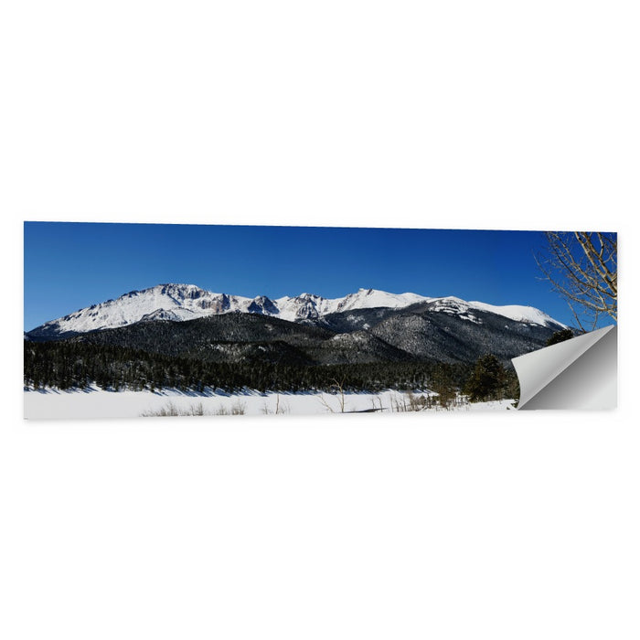 Pikes Peak Winter View Wall Art as a poster print