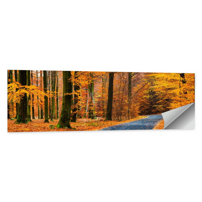 Curving Autumn Road in Beech Forest Wall Art as a poster print