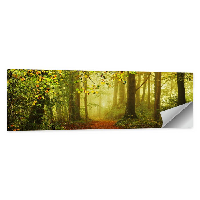 Smoggy Forest Wall Art as a poster print