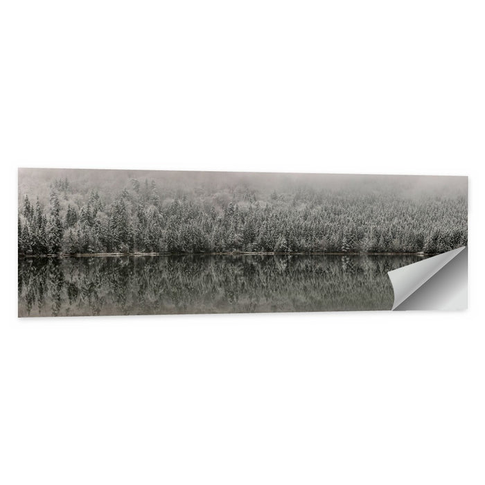 Saint Anna Lake Winter Fog Wall Art as a poster print