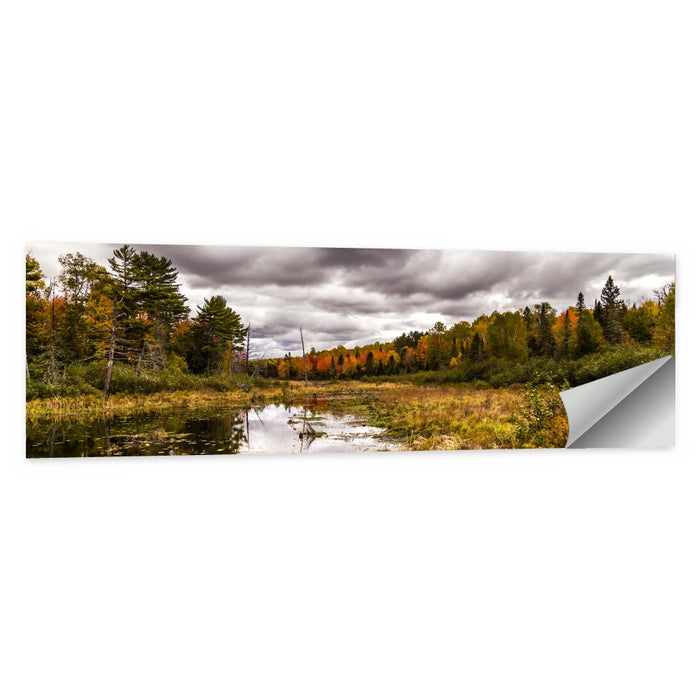 Michigan Autumn Marsh Wall Art as a poster print