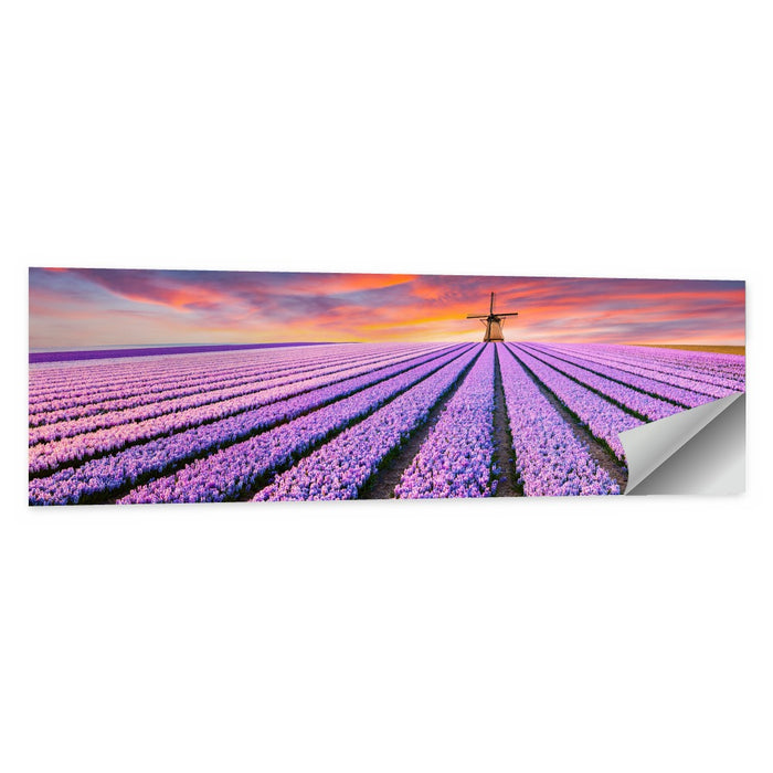 Hyacinth Field at Sunset Wall Art as a poster print