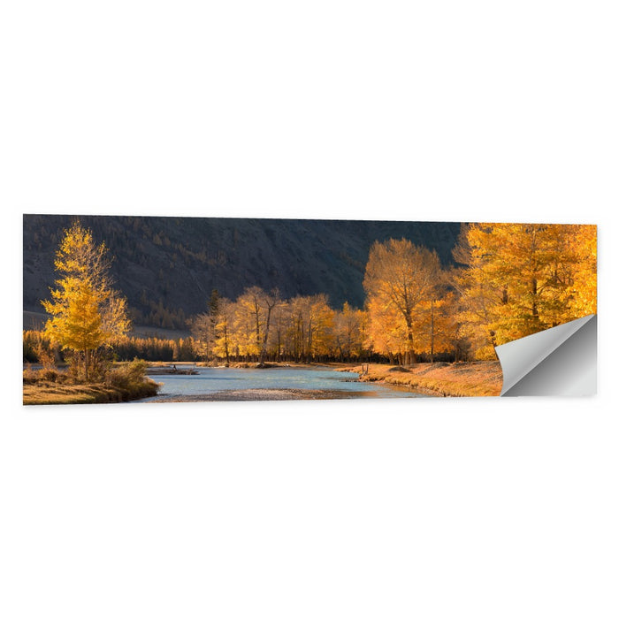 Autumn River Through Golden Forest Wall Art as a poster print