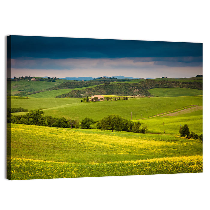 Tuscany in Summer Wall Art as a canvas print