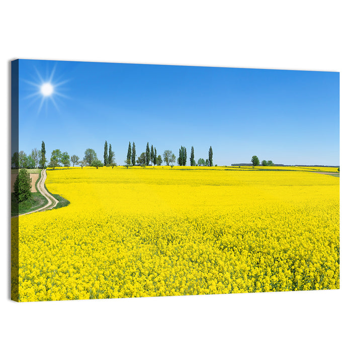 Winding Path Through Rapeseed Field Wall Art as a canvas print