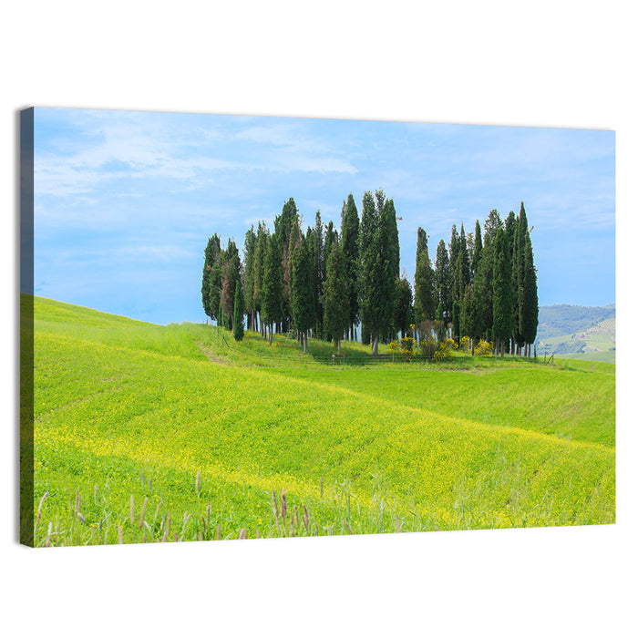 Tuscany Cypress Trees Wall Art as a canvas print