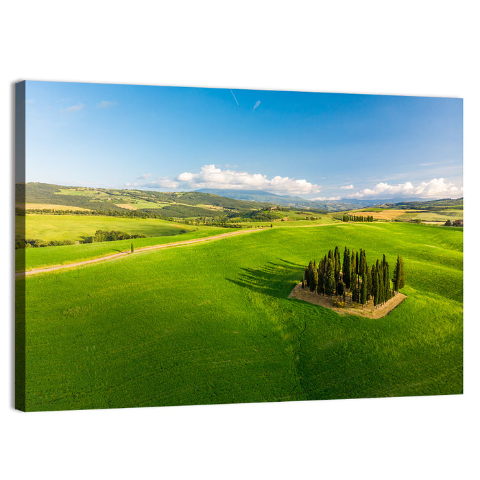 Italian Cypresses on Rolling Hills Wall Art as a canvas print