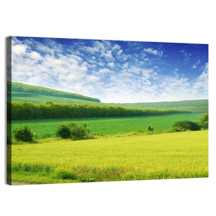 Green Spring Meadow Wall Art as a canvas print