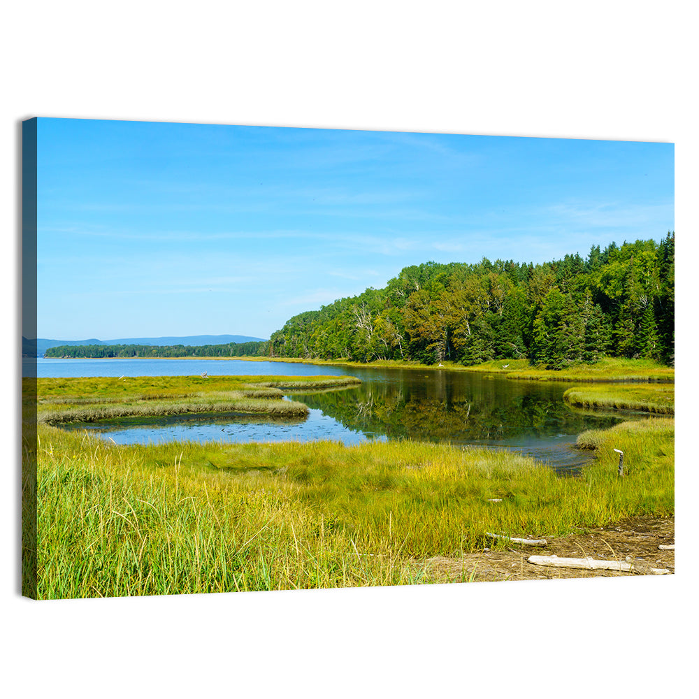 Forillon Lake and Meadow, Quebec Wall Art, canvas print, landscape