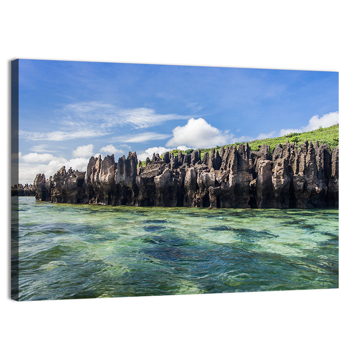 Emerald Sea Coastline, Madagascar Wall Art as a canvas print