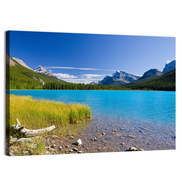 Jasper Lake with Driftwood Wall Art