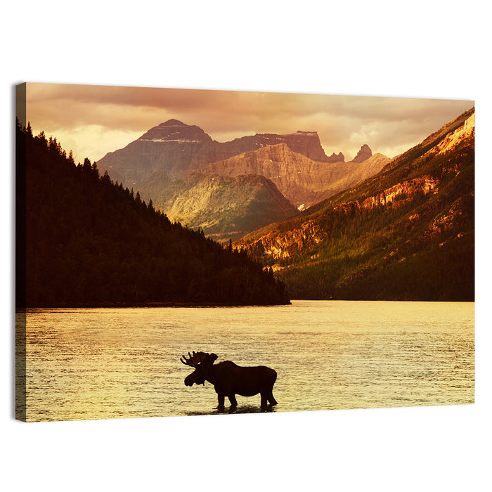 Waterton Lakes Moose at Golden Dusk Wall Art as a canvas print
