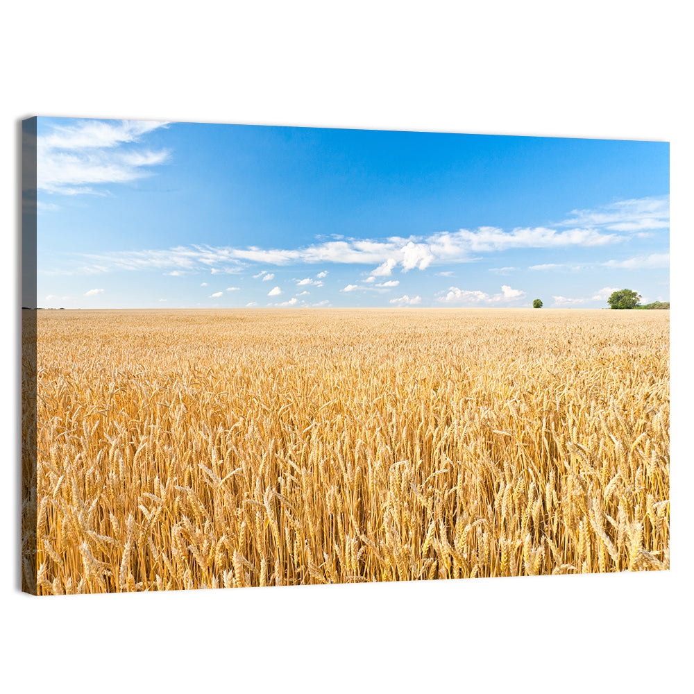 Golden Wheat Field with Blue Sky Wall Art, canvas print, landscape