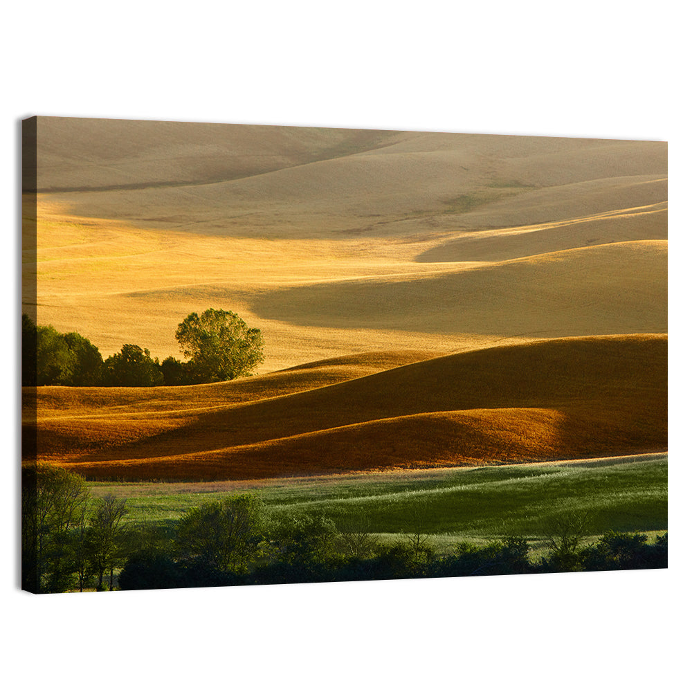 Golden Hills of Tuscany Wall Art, canvas print, landscape