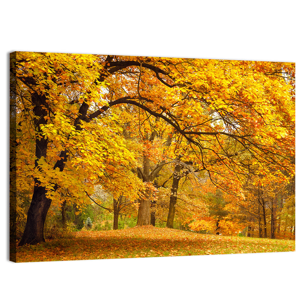 Golden Canopy in Autumn Park Wall Art, canvas print, landscape