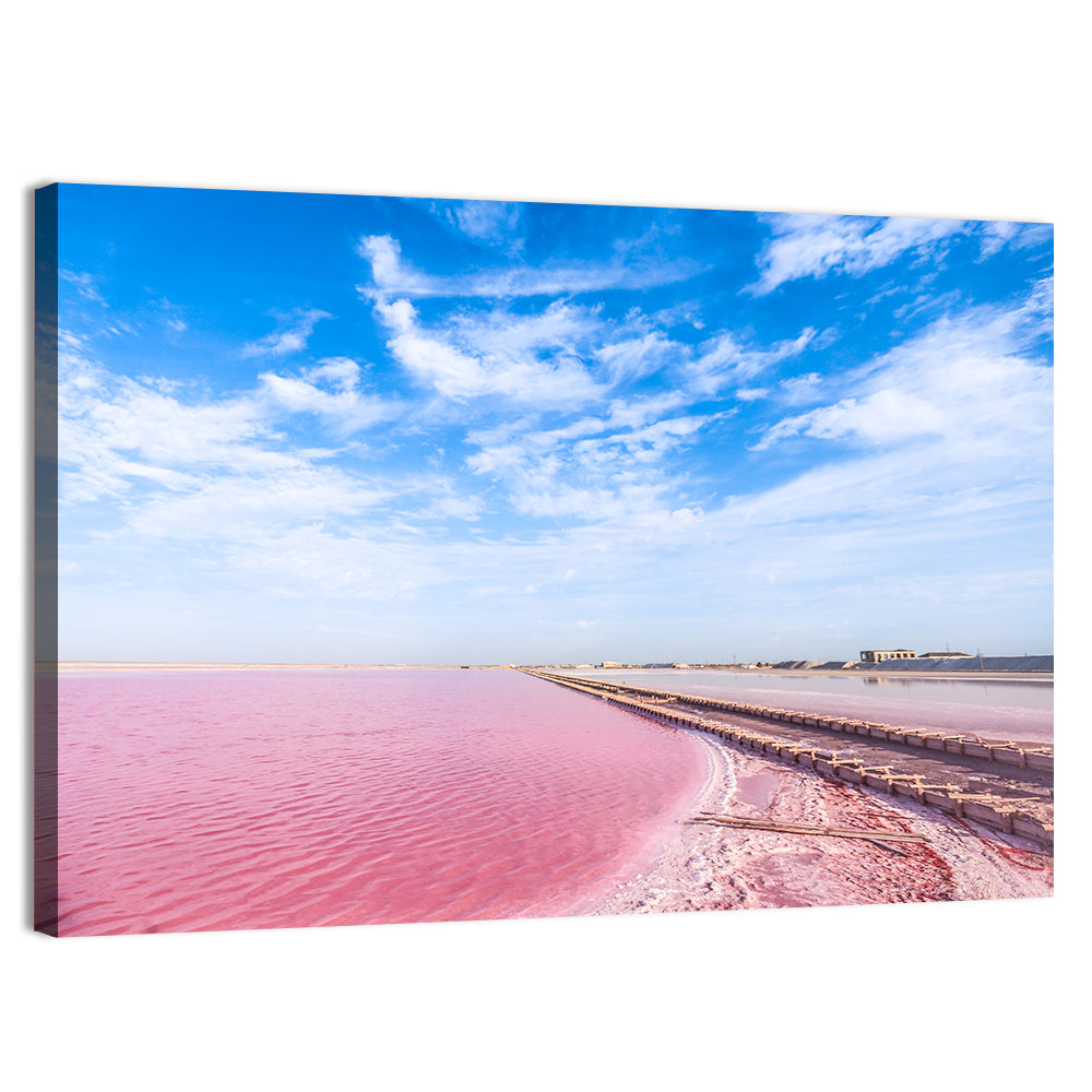 Pink Salt Lake Boardwalk Wall Art, canvas print, landscape