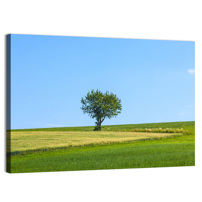 Solitary Tree on Rolling Meadow Wall Art as a canvas print