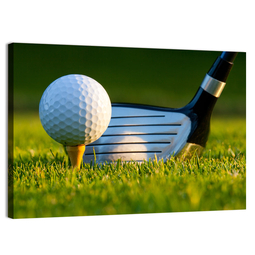 Golf Ball and Club Close Up Wall Art, canvas print, landscape