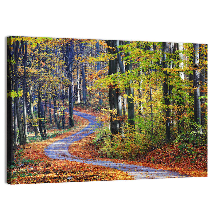 Winding Autumn Forest Path Wall Art as a canvas print