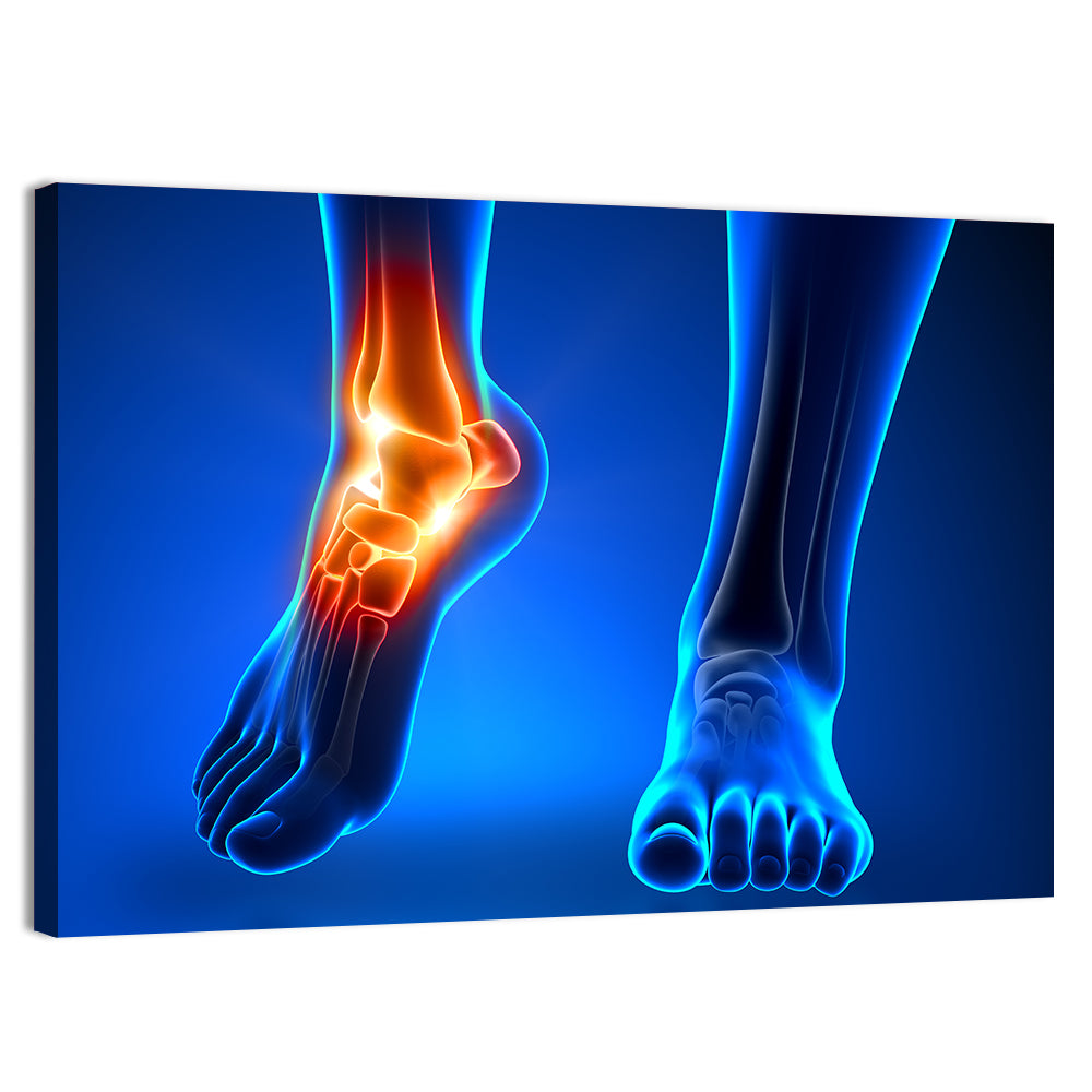 Ankle Anatomy X-ray Study Wall Art, canvas print, landscape