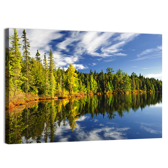 Lake Shore at Algonquin Park Wall Art as a canvas print