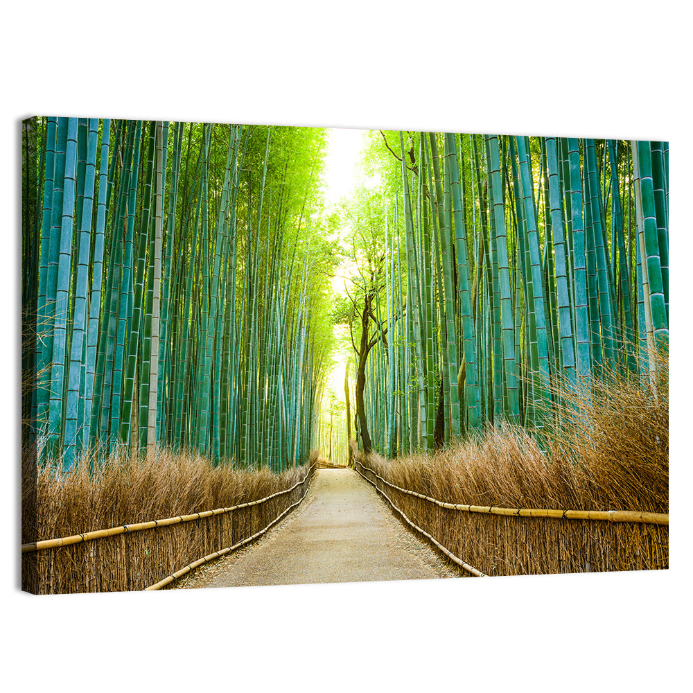 Arashiyama Bamboo Path, Kyoto Wall Art, canvas print, landscape