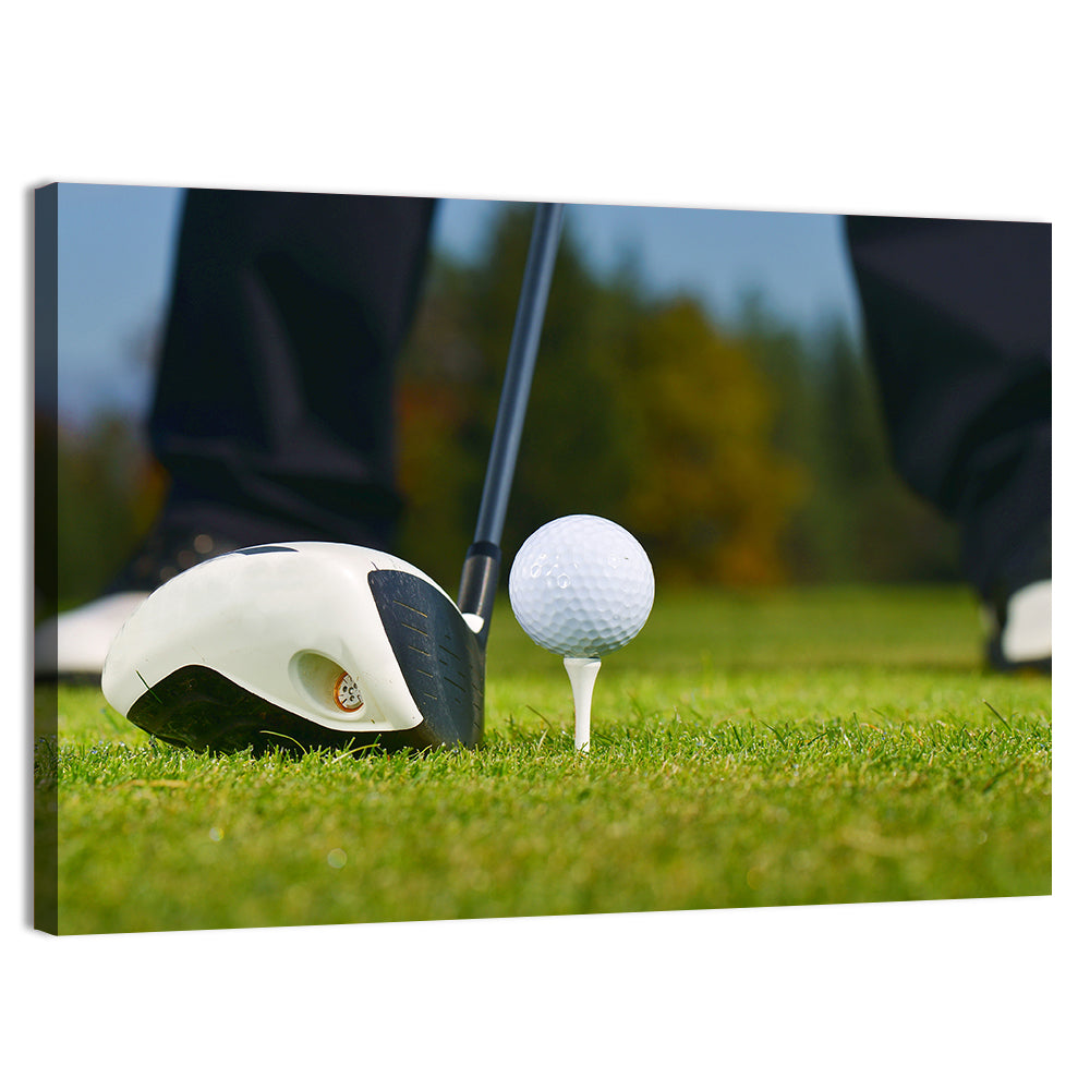 Golf Ball and Club Close Up Wall Art, canvas print, landscape