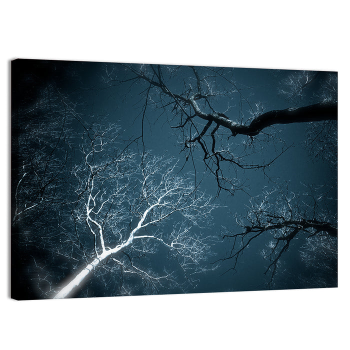 Twilight Canopy with Glowing Bark Wall Art as a canvas print