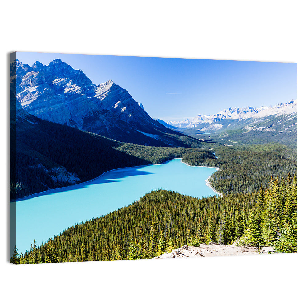 Peyto Lake Wall Art, canvas print, landscape