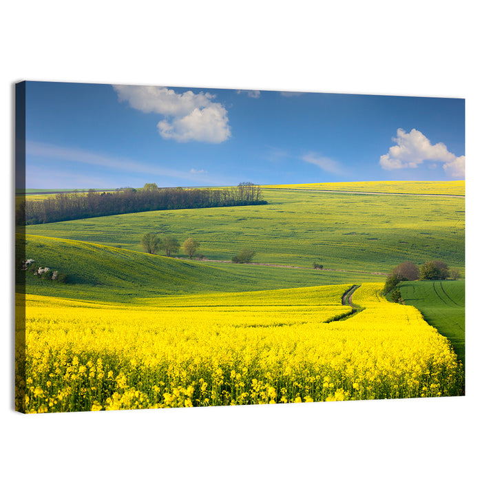 Sunlit Rapeseed Hills Wall Art as a canvas print