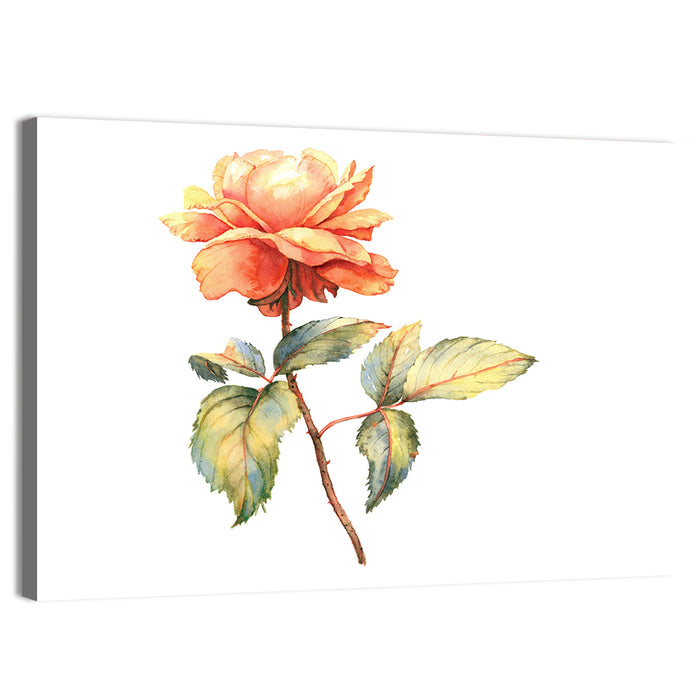 Orange Watercolor Rose Illustration Wall Art as a canvas print