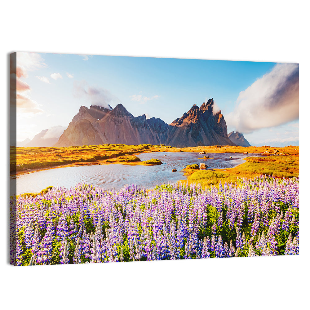 Lupine Fields at Vestrahorn Wall Art, canvas print, landscape