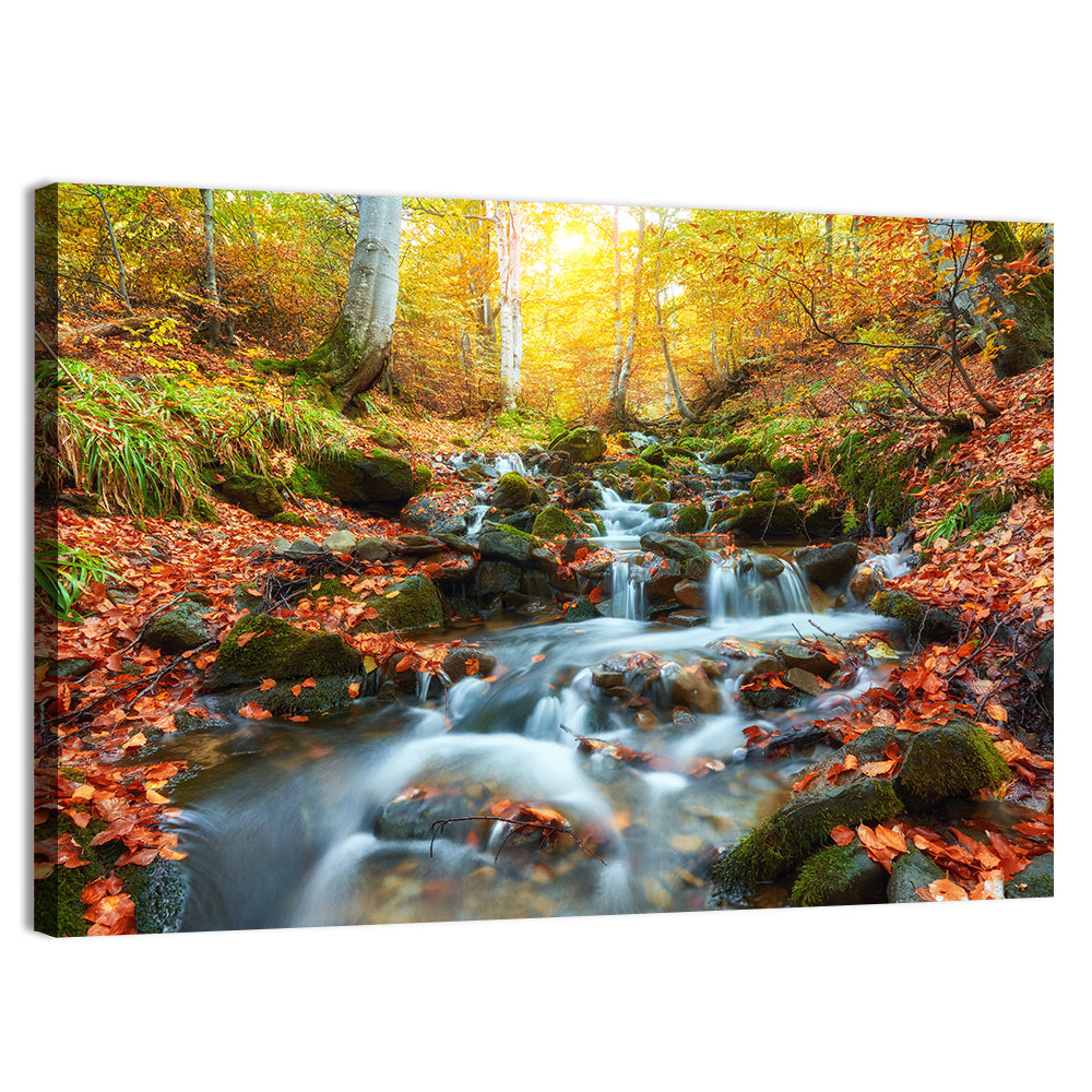 Backlit Autumn Forest Stream Wall Art, canvas print, landscape
