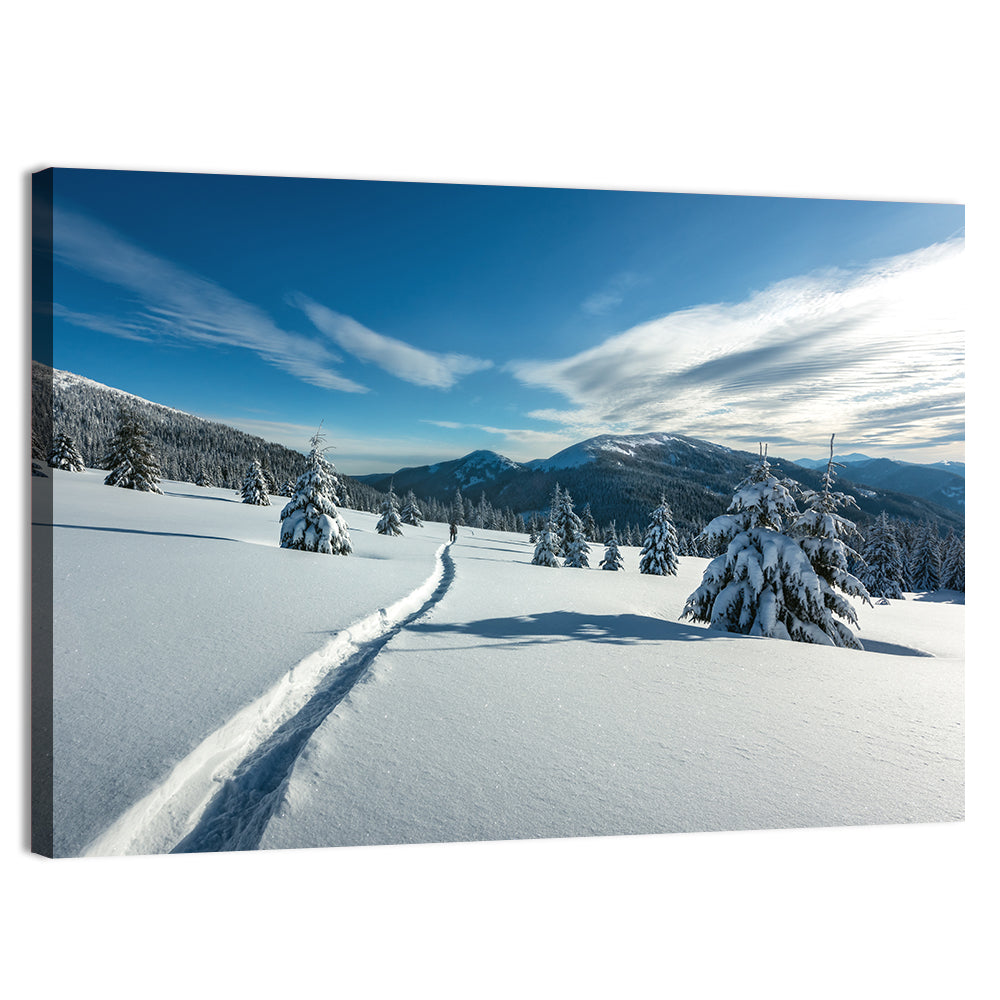 Snowy Carpathian Trail Wall Art, canvas print, landscape