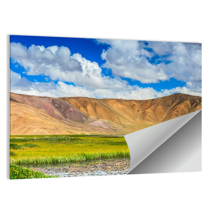 Bulunkul Lake Meadow, Tajikistan Wall Art as a poster print