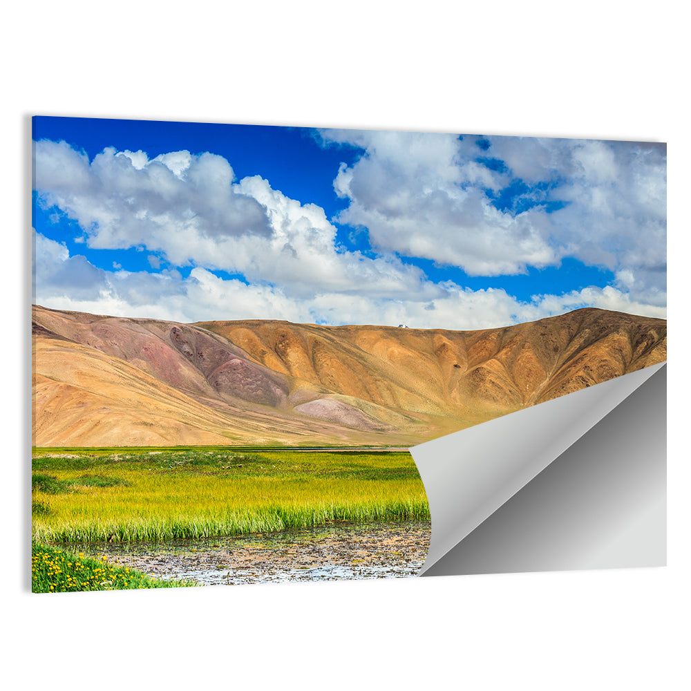 Bulunkul Lake Meadow, Tajikistan Wall Art