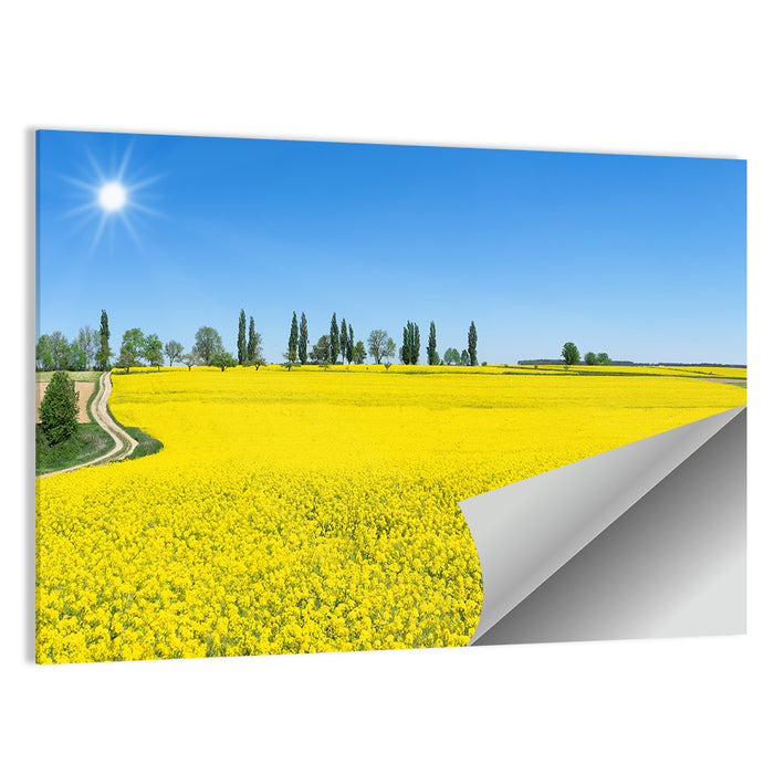 Winding Path Through Rapeseed Field Wall Art as a poster print