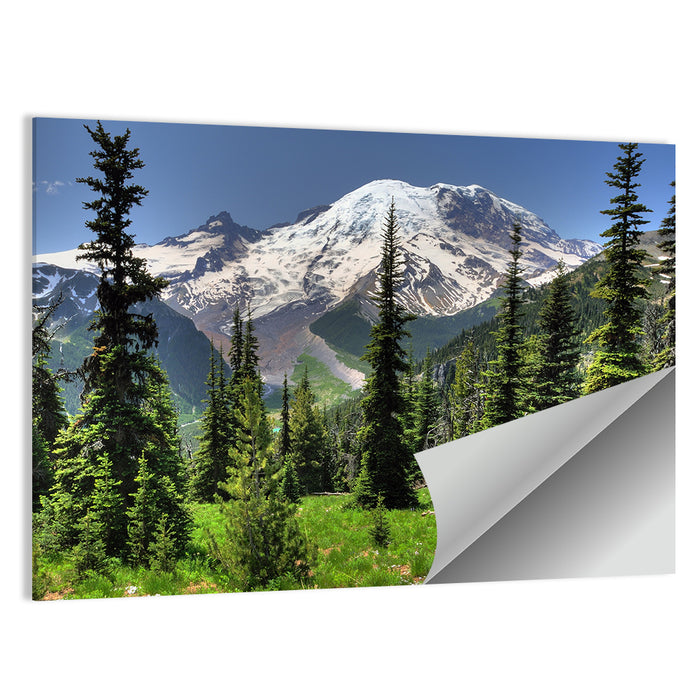 Mount Rainier Framed by Pine Trees Wall Art as a poster print