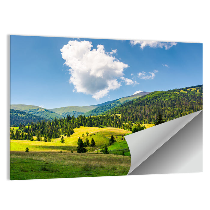 Sunlit Haystacks on Rolling Grassy Hills Wall Art as a poster print
