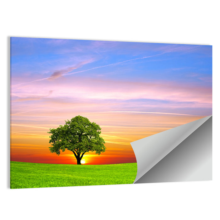 Lone Tree at Sunset Wall Art as a poster print
