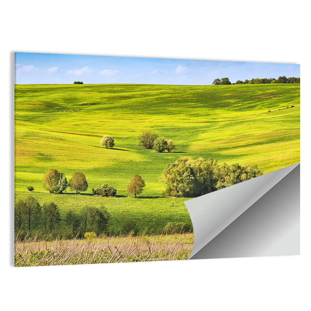 Rolling Hills of Ukraine Wall Art